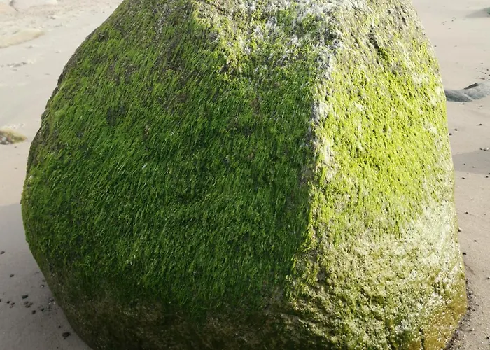 דירה Kajuta Bosmana Huka Debina (Ustka)
